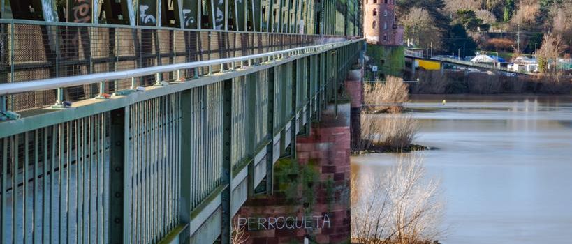 Frau in Meerjungfrauenkostüm löst Einsatz am Rhein in Mainz aus