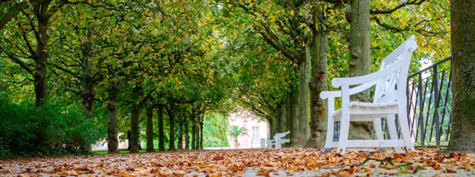 Mann in Biebricher Schlosspark angegriffen und verletzt