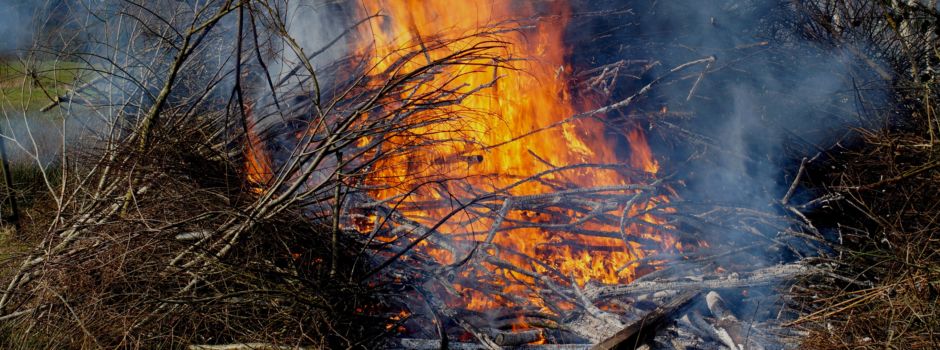 Brennende Felder rund um Mainz: Was steckt dahinter?