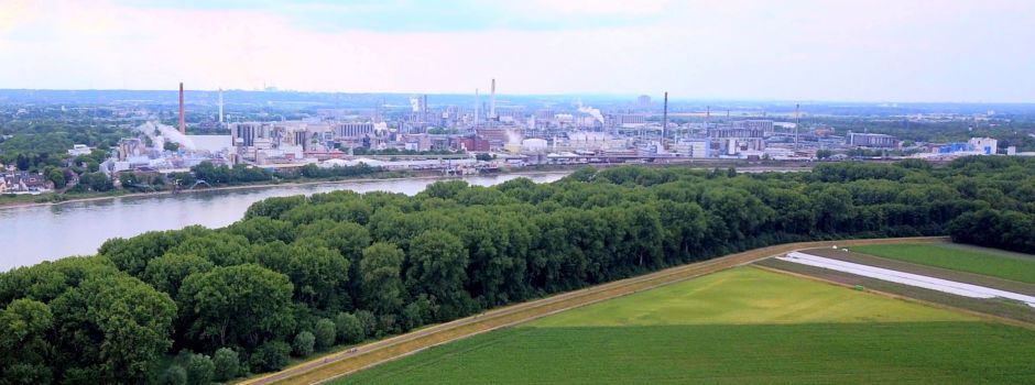 Rheinspange 553: Was ist der aktuelle Stand?