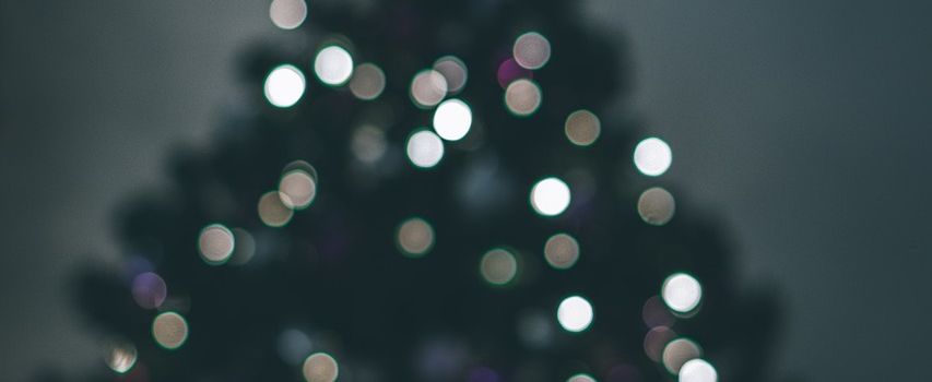 Einsammlung der Weihnachtsbäume