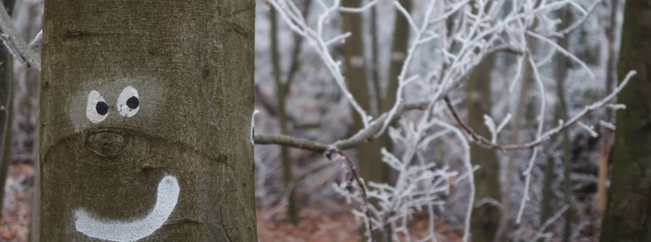 Winterzauber im Wichtelwald