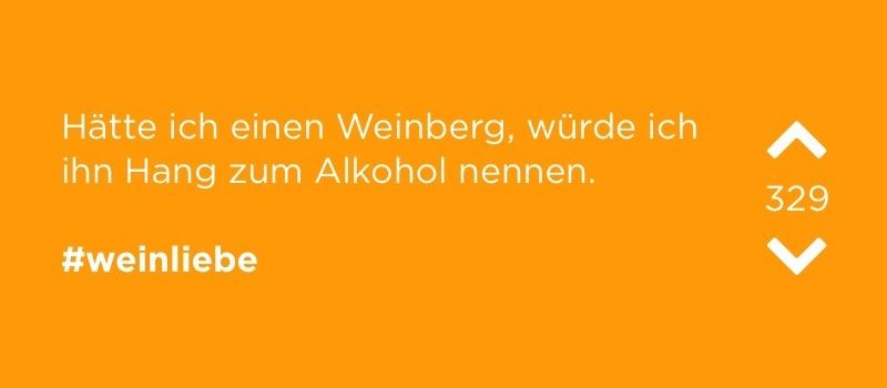 Alte Hunde und fiese Wespen: Die Jodel der Woche