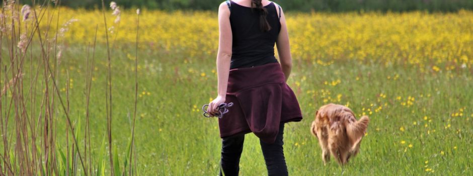 Wo Hunde in Rheinhessen lernen können, Menschen aufzuspüren