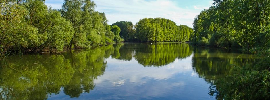 Hier gibt es noch Naturwälder rund um Wiesbaden