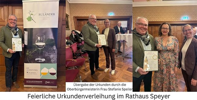 Weingut Krebs-Grode feiert 95 Punkte und zweiten Platz beim Grauburgunder-Preis