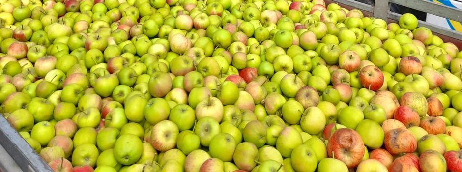 Frisch gepresster, naturreiner Apfelsaft aus Niederkasseler Äpfeln: Jetzt kaufen und den Bürgerverein unterstützen