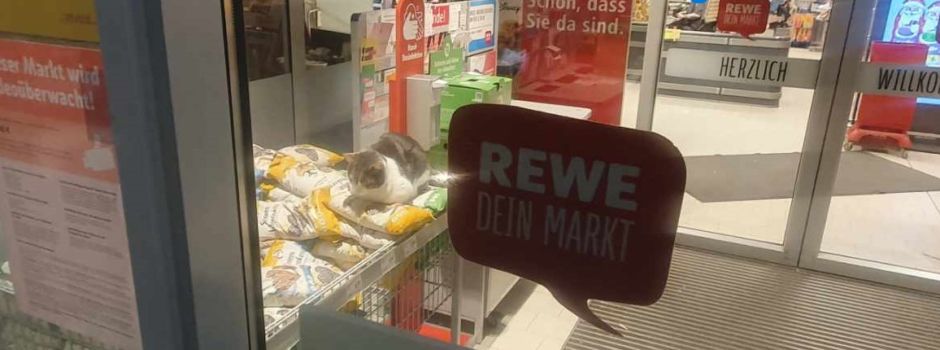 „Rewe“-Kater Franz: So reagiert die Supermarkt-Kette