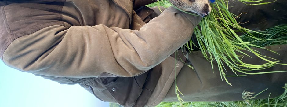 Jäger, Landwirte und freiwillige Helfer als Team bei der Wildtierrettung