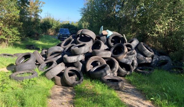 Illegal Altreifen entsorgt: Stadt Bingen sucht nach Zeugen
