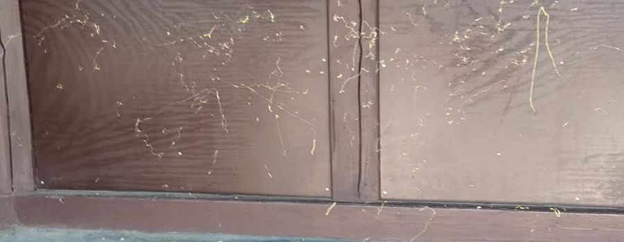 Vandalismus im Bus Haus