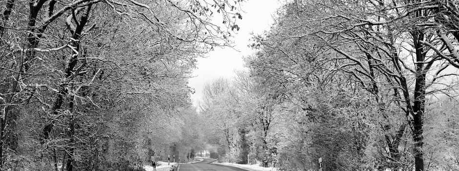 ❄️ Information zum Winterdienst und zur Räumpflicht im Gemeindegebiet ❄️