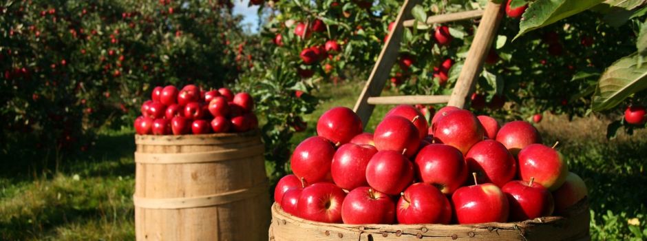 Obstannahme im Getränkemarkt