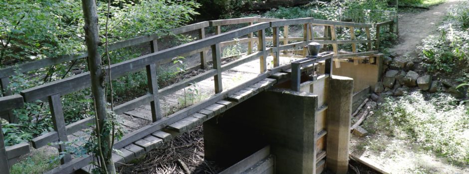 Update: Holzbrücke gammelt weiter vor sich hin