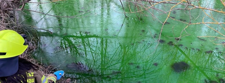 Rätselhaft: Mühlbach zwischen Wörrstadt und Saulheim grün verfärbt