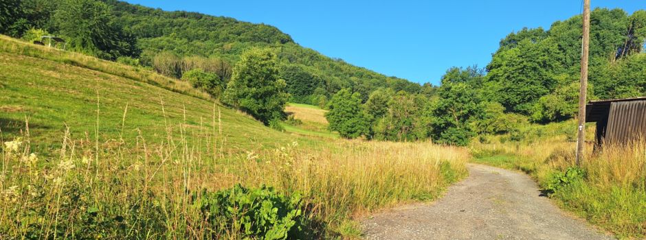 Bauhoftraktor ist defekt!