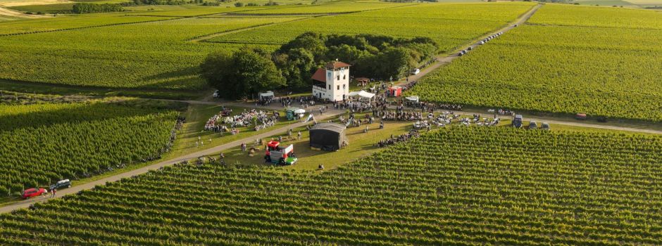 Wein- und Sektvergnügen in Stadecken-Elsheim kehrt 2025 zurück