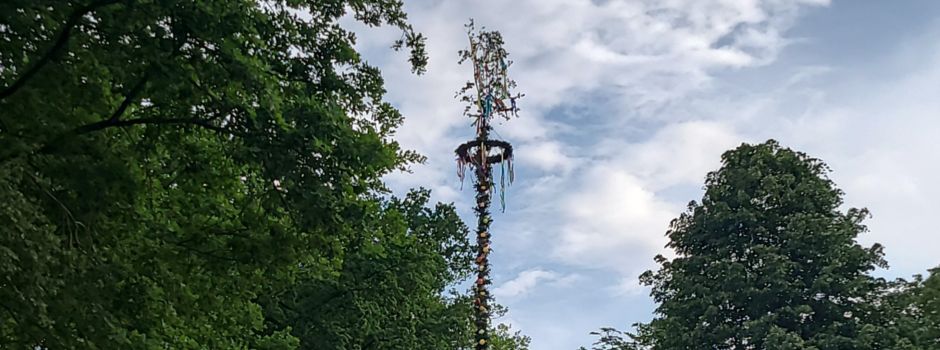 Bosseler Pfingstbaum ragt in den Himmel