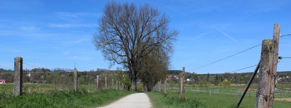 Ab ins Grüne: Ausflugsziele um Augsburg
