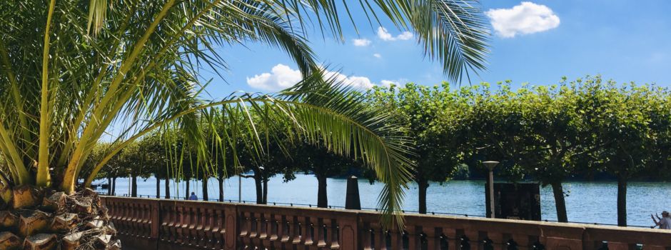 Kommt auf Mainz der wärmste Juni seit Beginn der Wetteraufzeichnung zu?