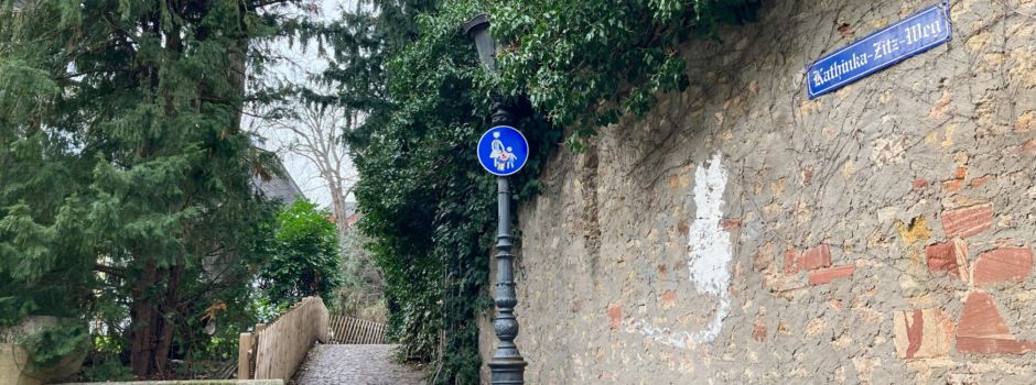 Versteckte Orte in Mainz: Grüner Schleichweg in der Altstadt