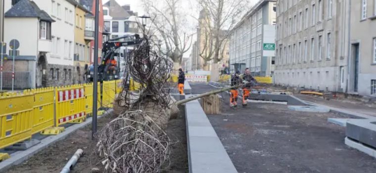 Ab nächster Woche: Verkehr in Koblenzer Südallee wird umgeleitet