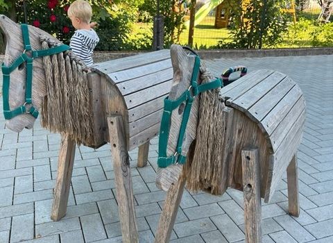 Sensation im Vogelpark: Die ersten gefiederten Ponys sind gelandet!