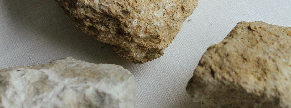Endlagersuche: Schwarzenbek wird aktuell nicht weiter betrachtet