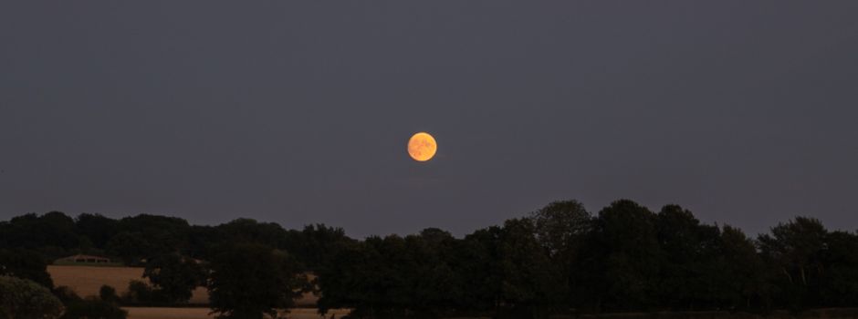 Orte in Augsburg, an denen ihr den Blutmond gut sehen könnt