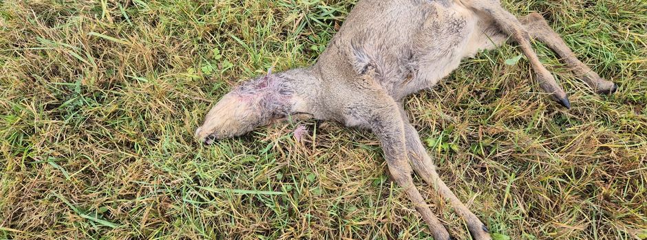 Erneut "Wilder Westen" in Fehl-Ritzhausen