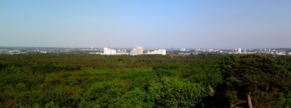 Spielzeug aus Hochhaus geworfen –  Kind nur knapp verfehlt