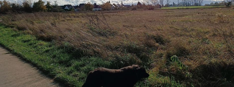 Liebe Hundehalter...