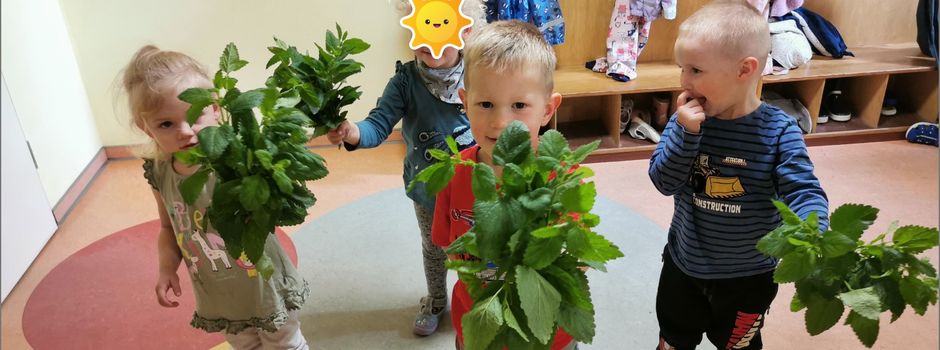 Fleißige Kinder und pädagogische Fachkräfte im integrativen Kindergarten „Tranquilla Trampeltreu“