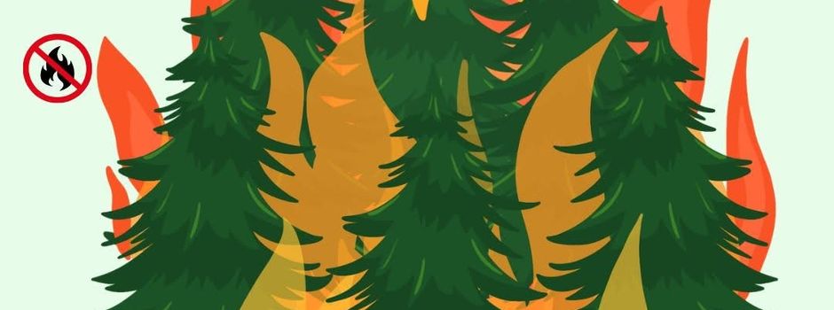ACHTUNG Waldbrandstufe 4