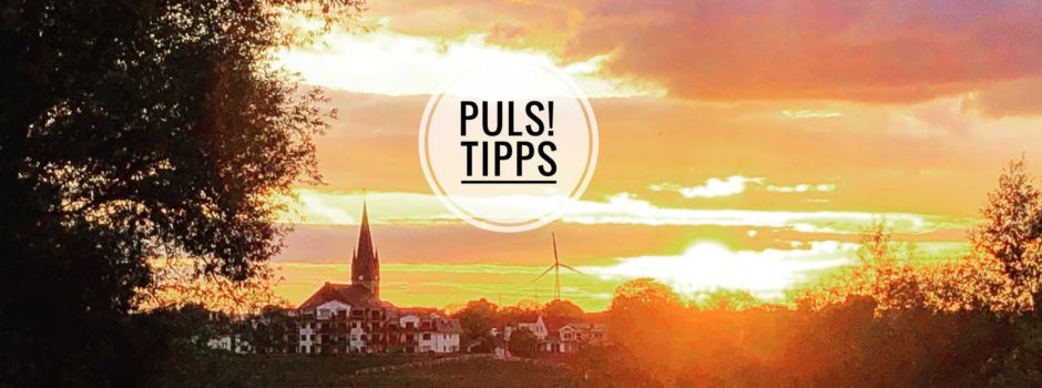 Unsere Veranstaltungstipps für den September