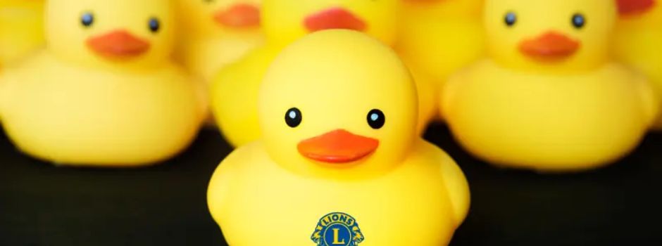 Warum bald Gummi-Entchen durch die Nahe schwimmen