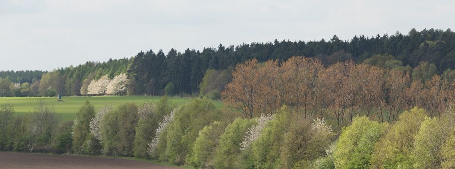 Seminar „Fachgerechte Heckenpflege in der 
Landwirtschaft“ 