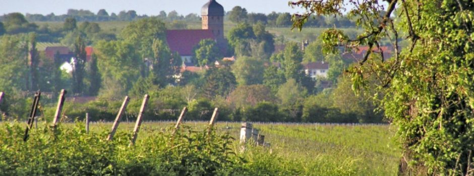 Hinweise zur Gestaltung von Baumurnengräbern