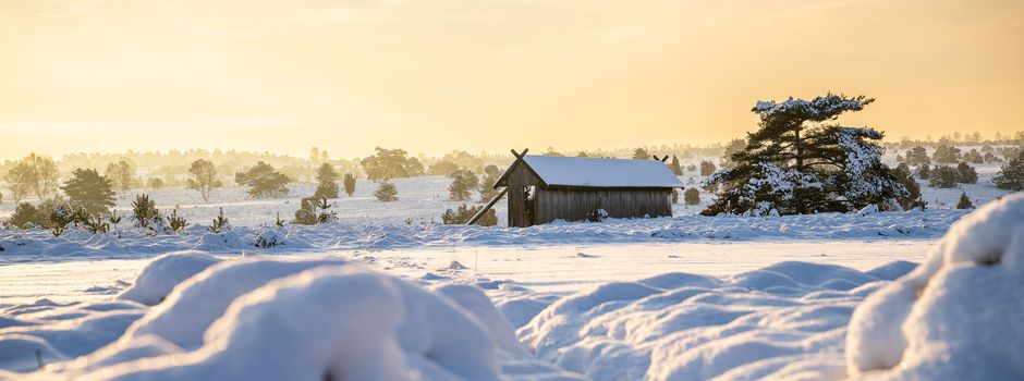 Winterwunderland Lüneburger Heide