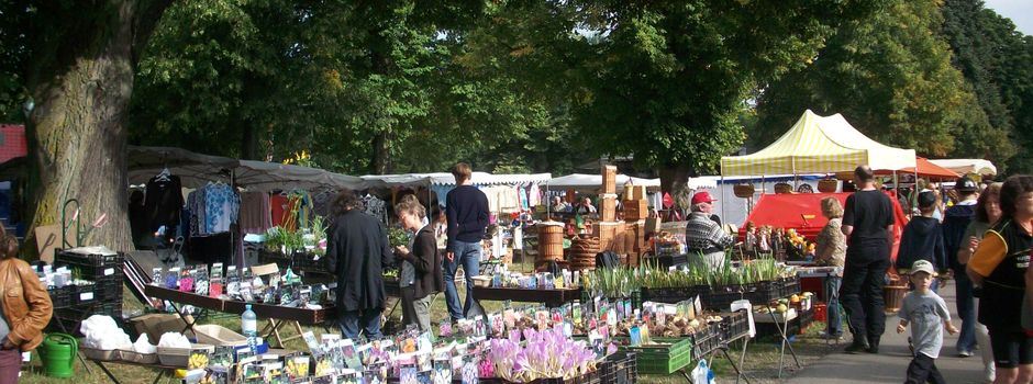 Mit dem Bürgerbus zum Alteburger Markt!