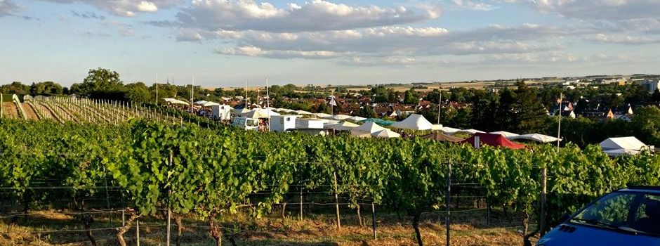 Das Sekt-Picknick im Kirchenstück rückt näher