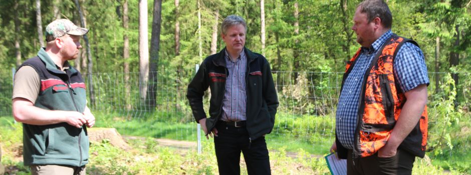Sehr gute Noten für nachhaltige Waldbewirtschaftung