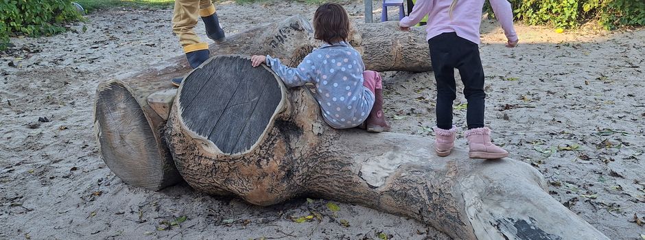 Neue Abenteuer auf dem frisch eroberten Kletterbaum