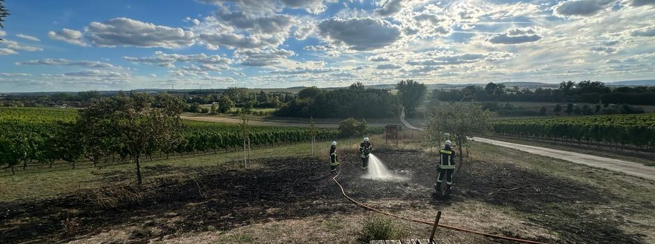 Flächenbrand auf dem Grillplatz