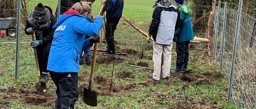 Randbepflanzung unserer neuen Streuobstwiese erweitert