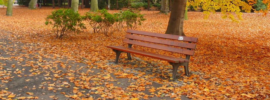 Übergabe der Ruhebänke von der OG an die FFW Mudenbach