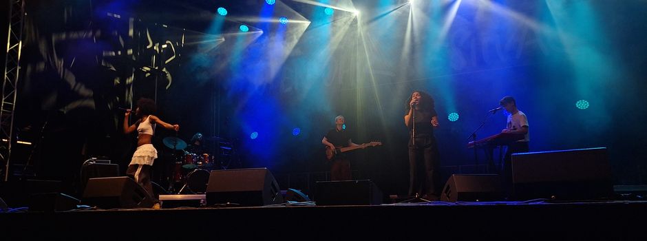 Wegen „Open Ohr“-Festival: Stadt Mainz nimmt Tötung von Vögeln in Kauf