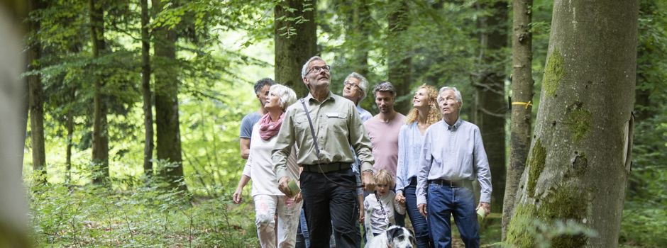 Kostenlose Waldführungen