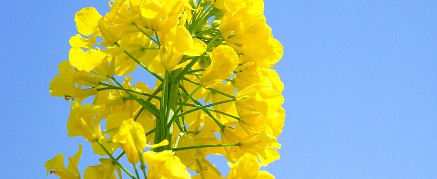 Bischem bewegt sich! 🌼