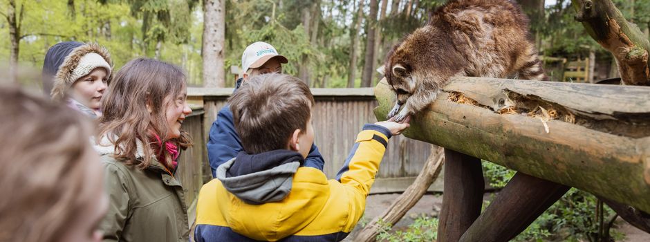 Wildpark-Ferienprogramm bietet wieder: „Natur und Tiere satt!“